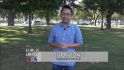 Kampung Amerika: Membangun Istana Kucing