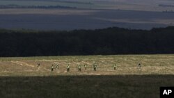 2014年8月3日澳大利亚和荷兰专家在坠机现场