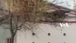 Orang Tua Bangun Komunitas "Bike Bus" untuk Anak Bersepeda di Meksiko